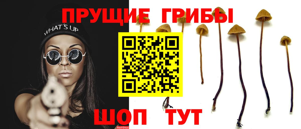 Псилоцибиновые грибы Magic Shrooms  Вход с VPN  Камышин  Псилоцибиновые грибы MAGIC MUSHROOMS 